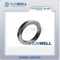 Bx Ring Joint Dichtungen Sunwell 830